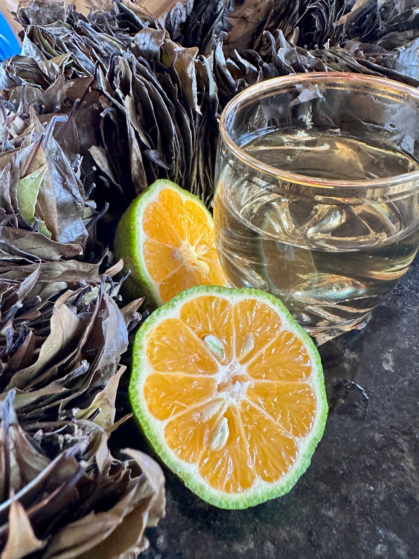 Guayusa – Belebender Regenwaldtee