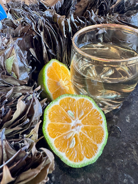 Guayusa – Belebender Regenwaldtee